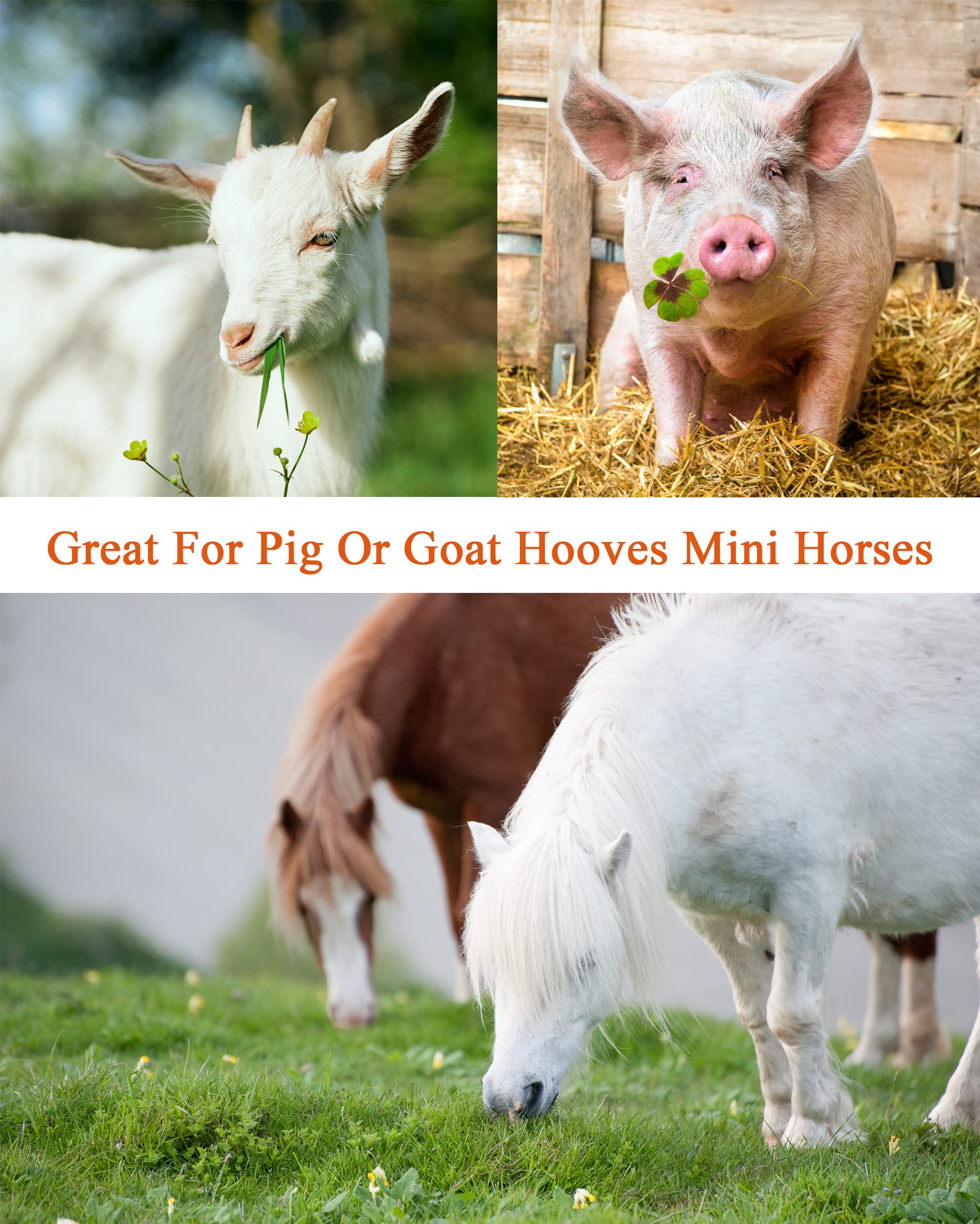 Loaged double-sided hoof rasp for fine and coarse shaping.