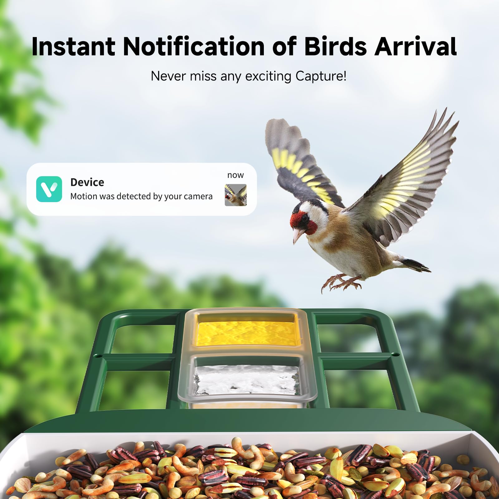 Loatos Bird Feeder with Camera 2K video delivers crisp feather color and detail.