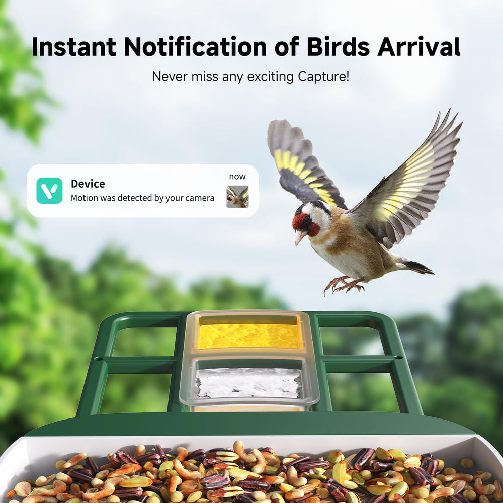 Loatos Bird Feeder with Camera 2K video delivers crisp feather color and detail.