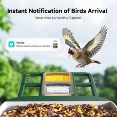 Loatos Bird Feeder with Camera 2K video delivers crisp feather color and detail.
