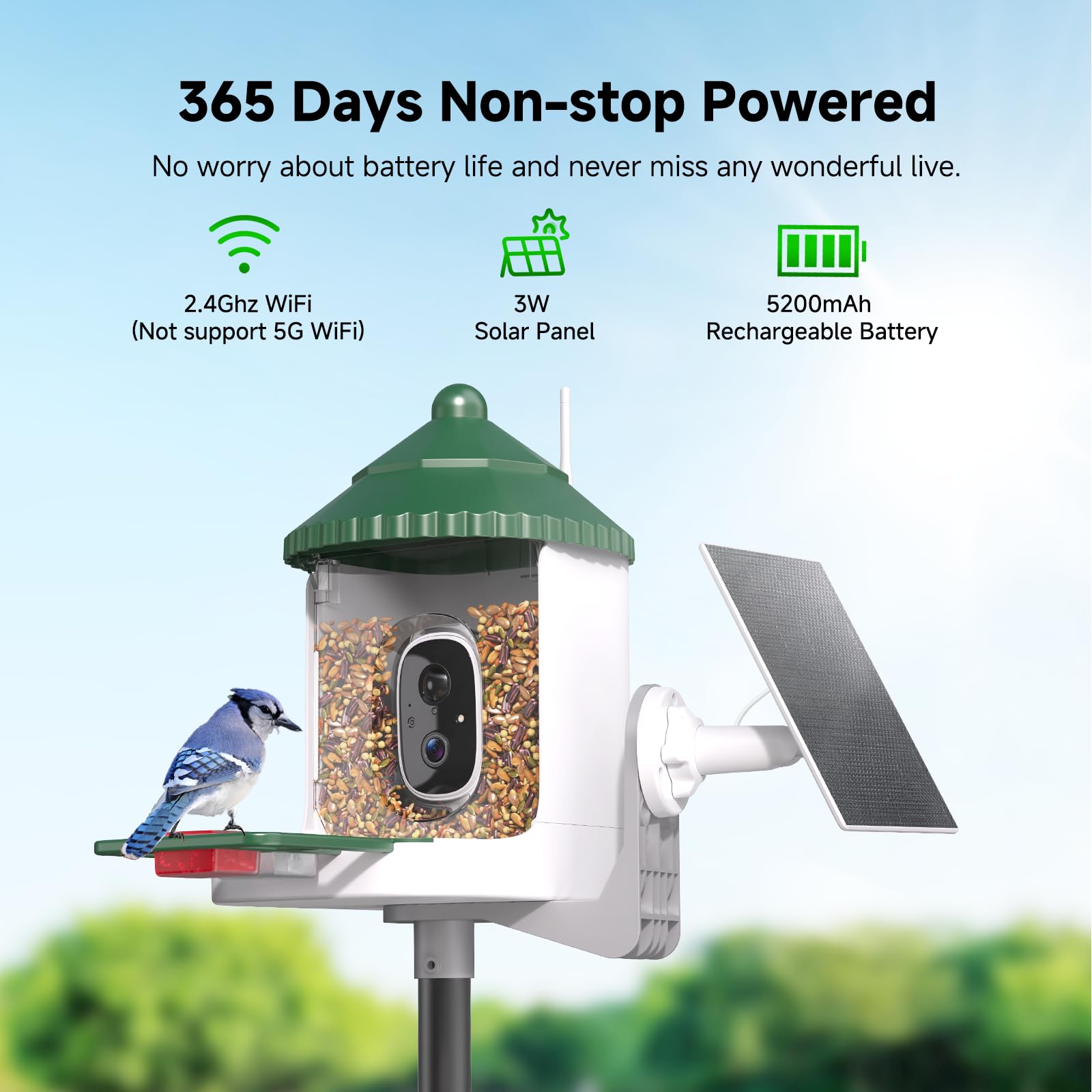 Loatos Bird Feeder with Camera AI identification recognizes birds to support learning and exploration.