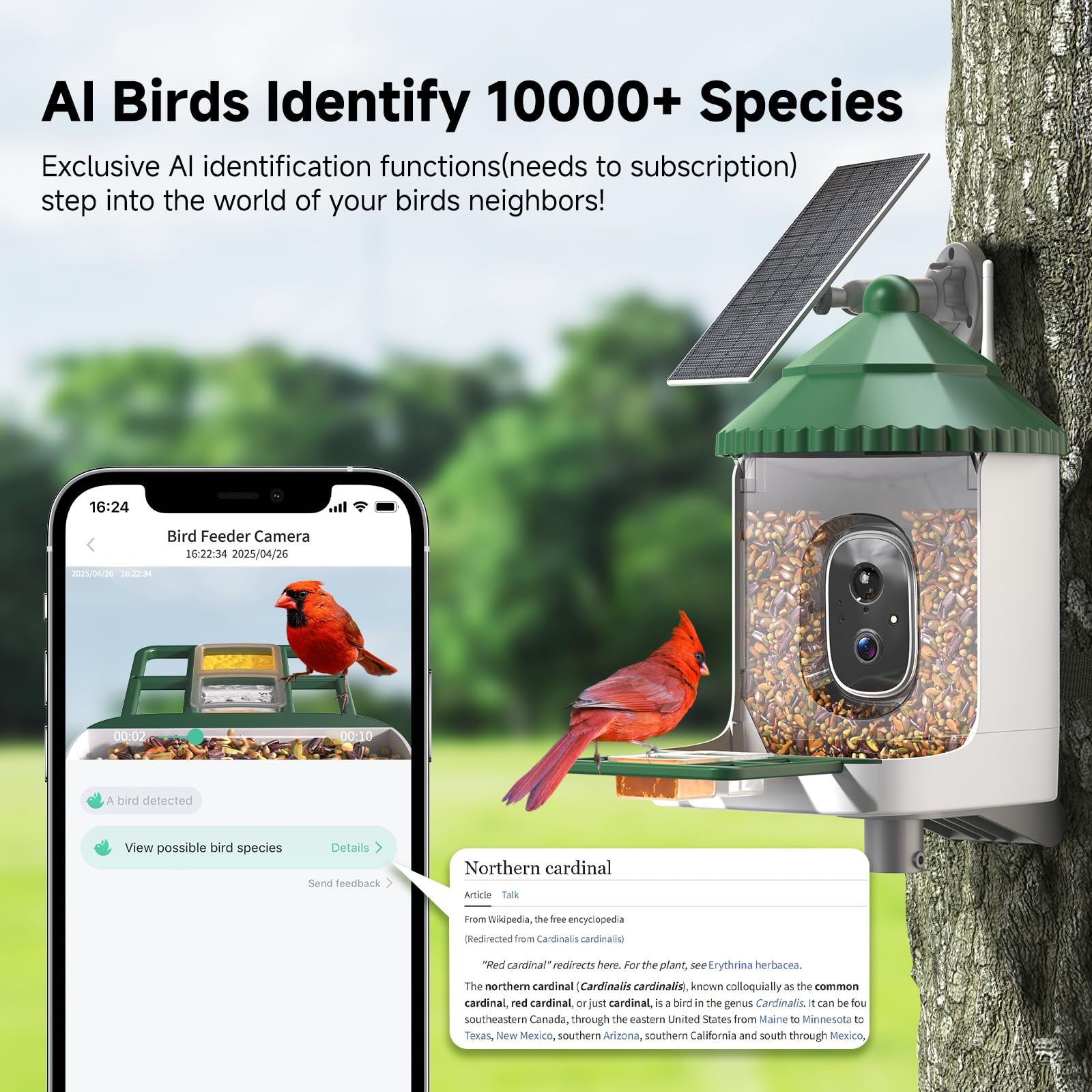 Loatos Bird Feeder with Camera side view shows compact setup for easy placement.