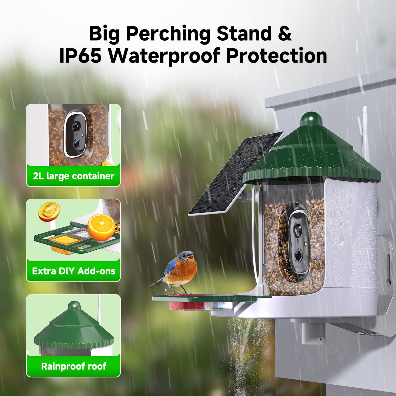 Loatos Bird Feeder with Camera multiple birds visiting, capturing diverse interactions.