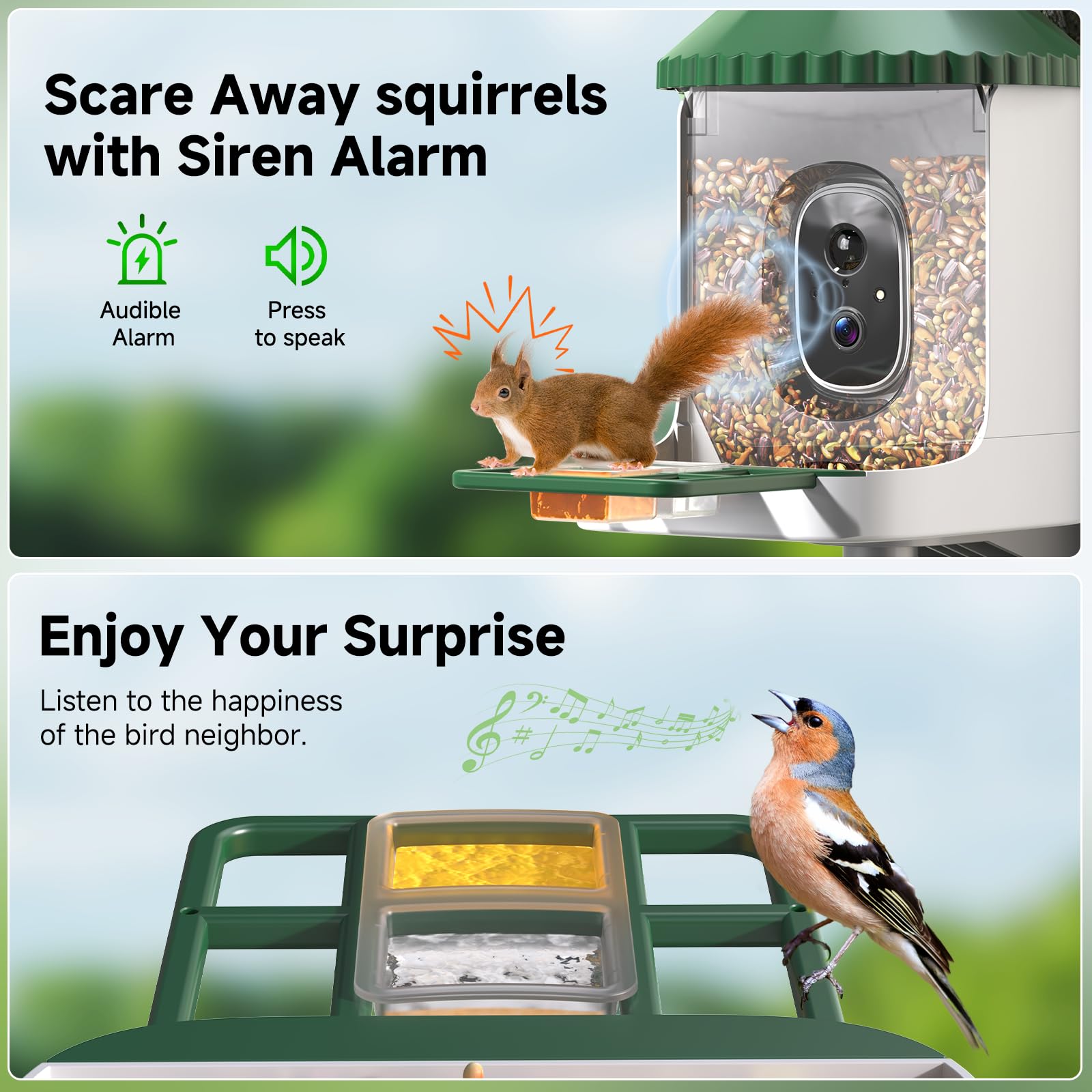 Loatos Bird Feeder with Camera night vision enables nocturnal visitors to be observed clearly.