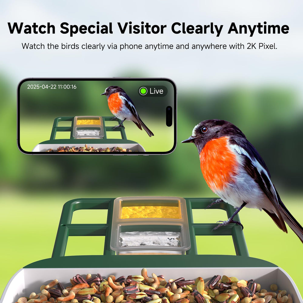 Loatos Bird Feeder with Camera solar panel powers continuous monitoring without frequent charging.