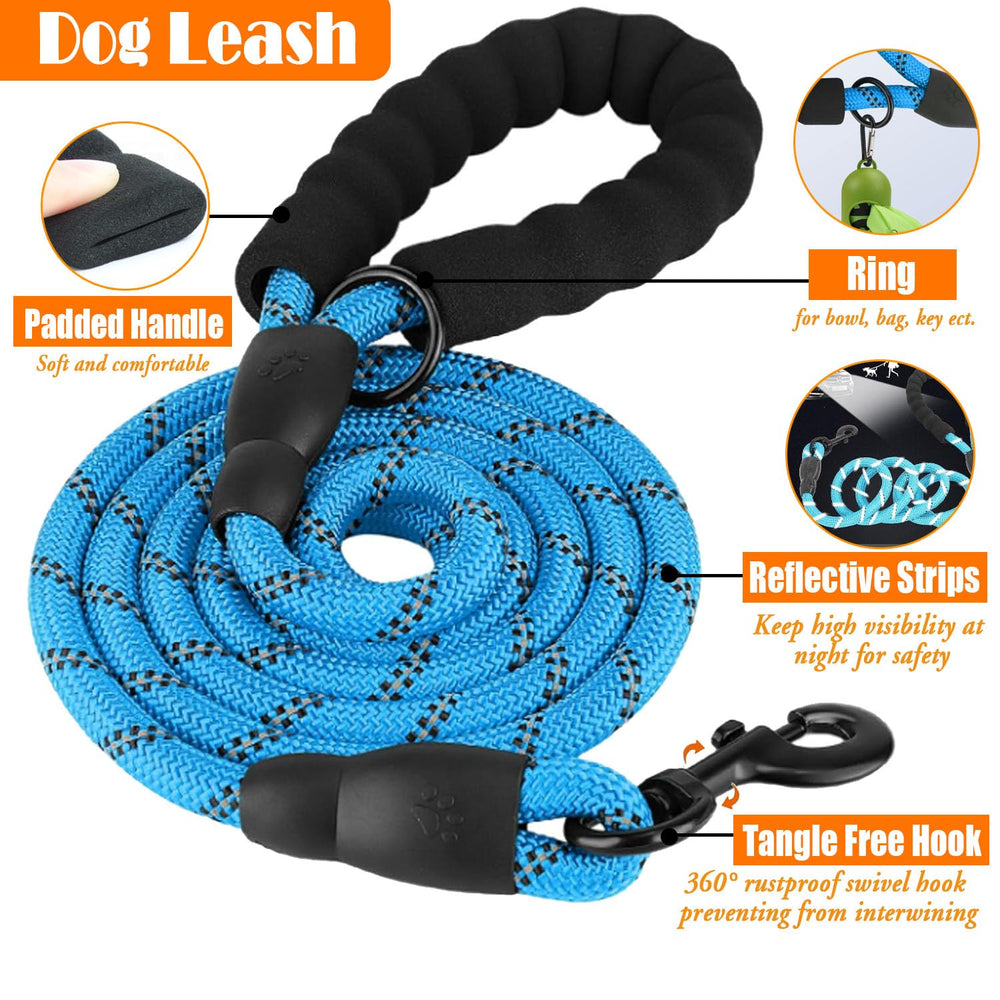 Lobeve blue collapsible bowls for quick hydration on trips