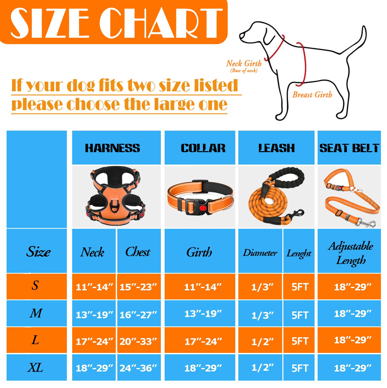 Lobeve Leash featuring sturdy hardware for secure control.