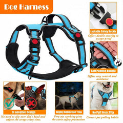 Lobeve dog seat belt in blue with car safety attachment