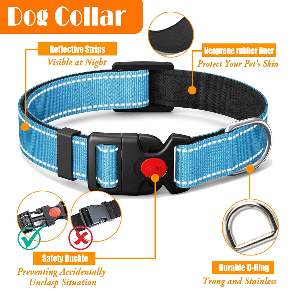 LOBEVE Durable nylon strap in blue for everyday use.