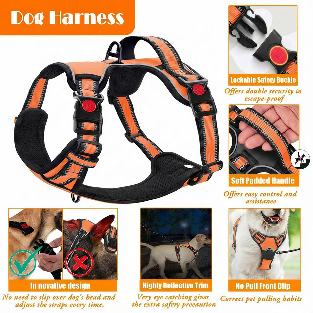 Lobeve orange-m leash for steady handling on trails.