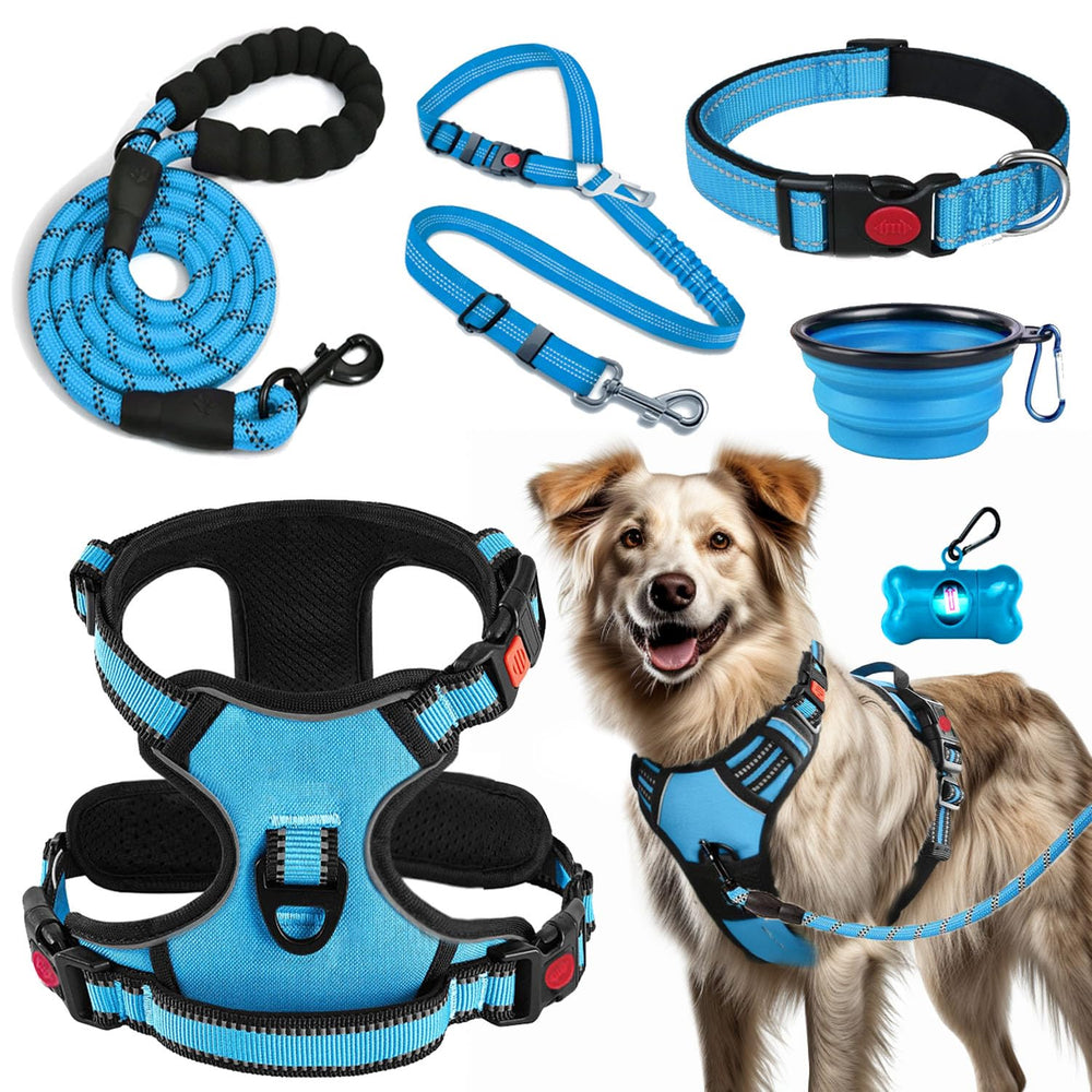Lobeve no-pull harness front view in blue for comfortable control