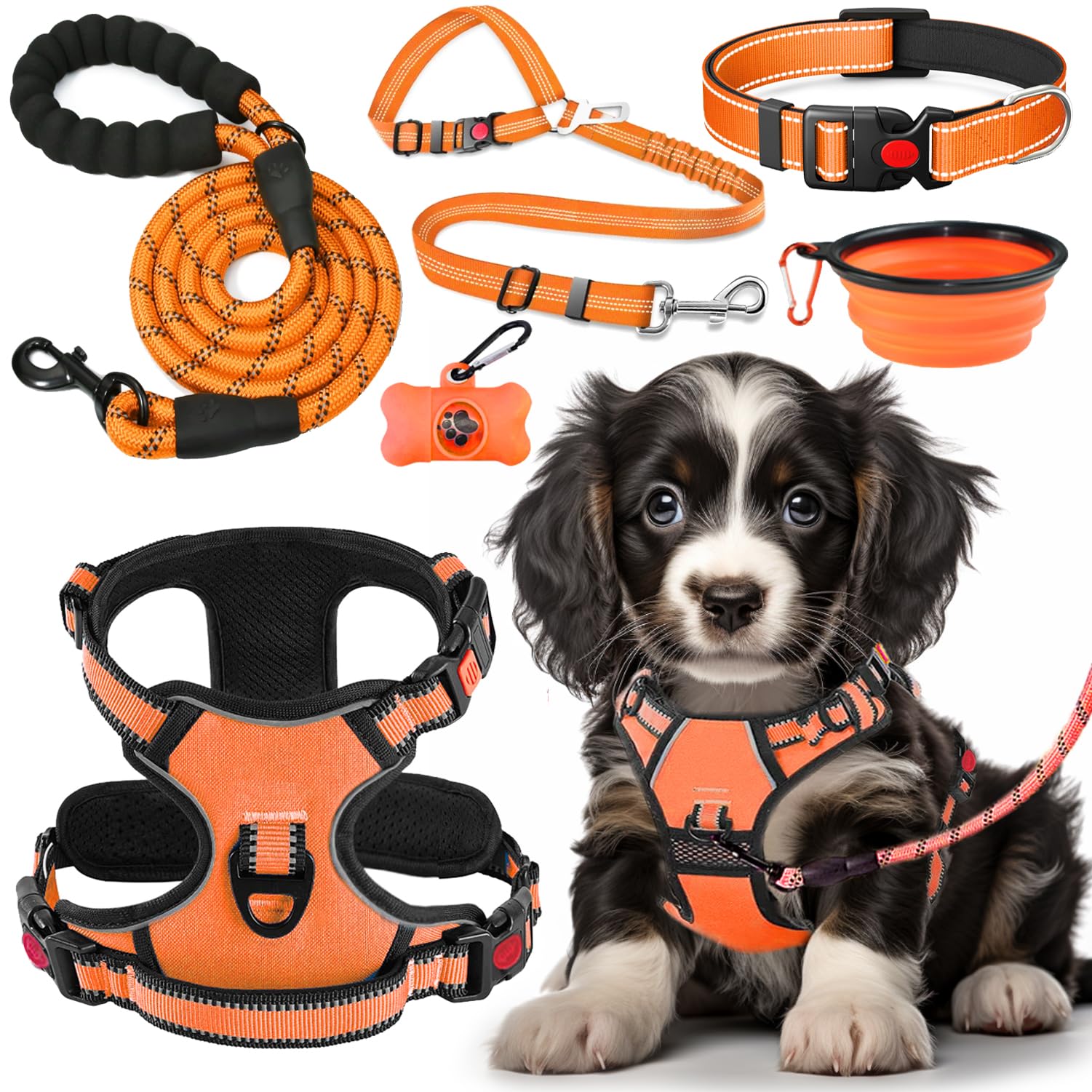Lobeve No Pull Harness with reflective stitching for safer early-morning walks.