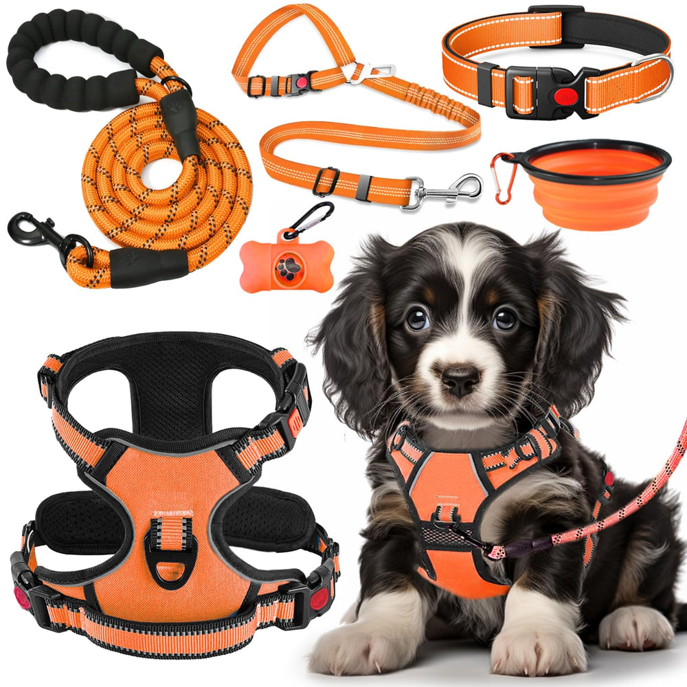 Lobeve No Pull Harness with reflective stitching for safer early-morning walks.