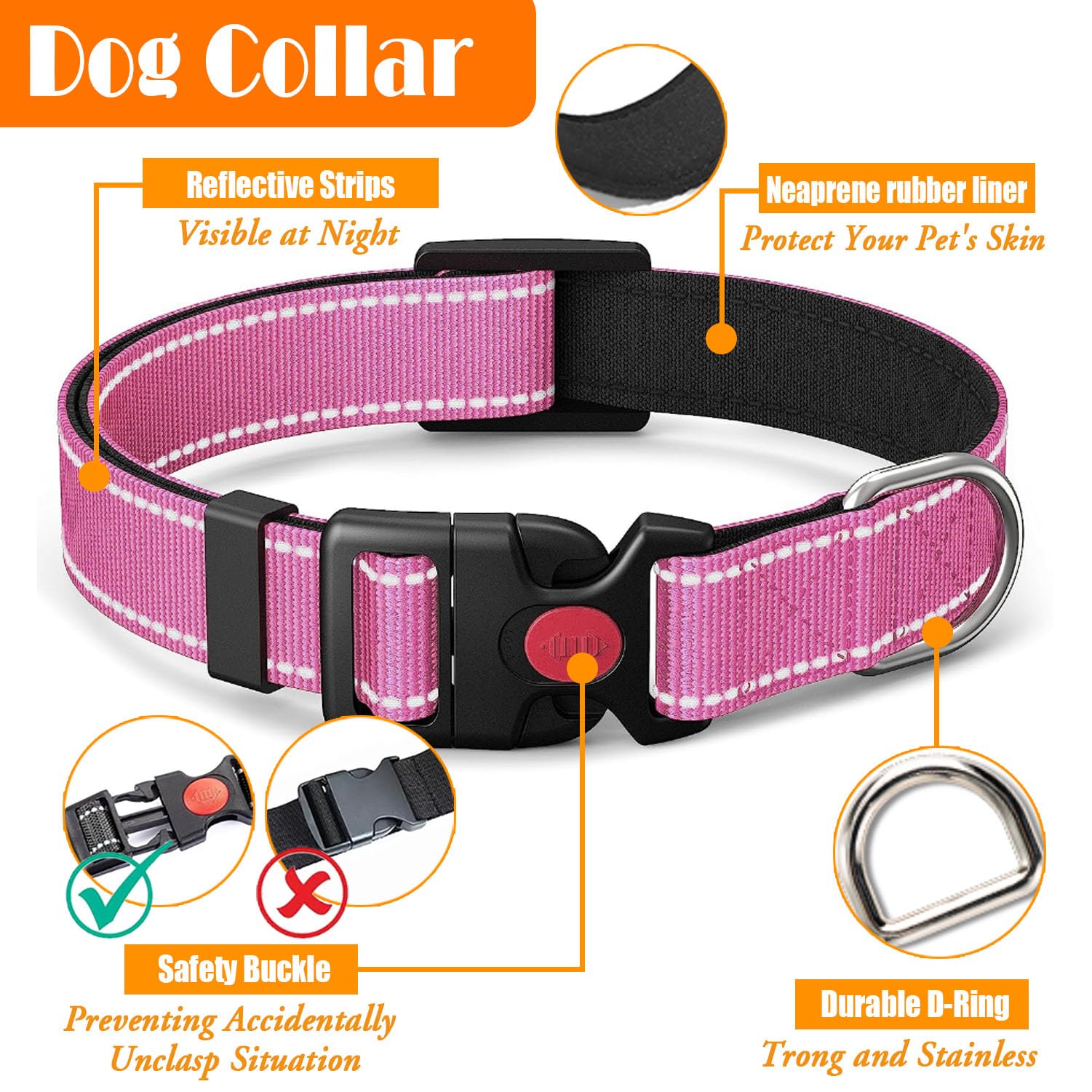 Lobeve Reflective Stitching on harness improves visibility during low-light walks.