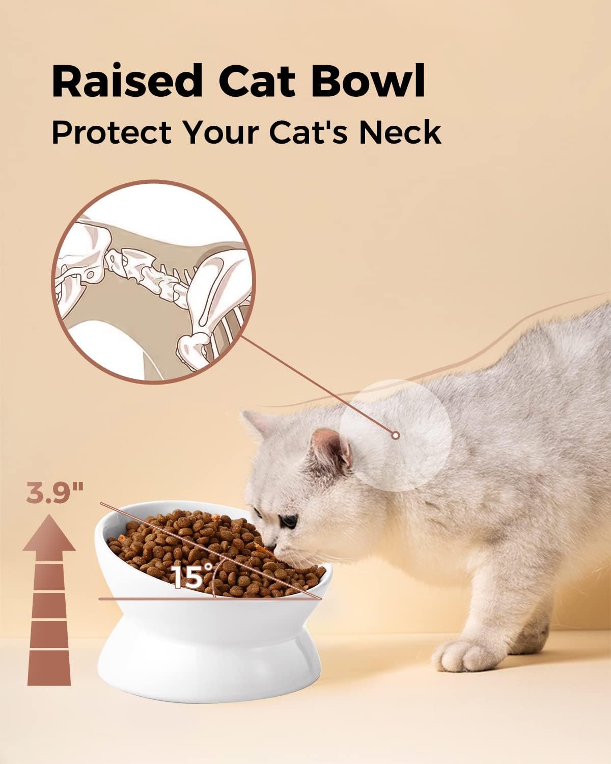 LoeJan white 2-pack provides two bowls for multi-pet households.