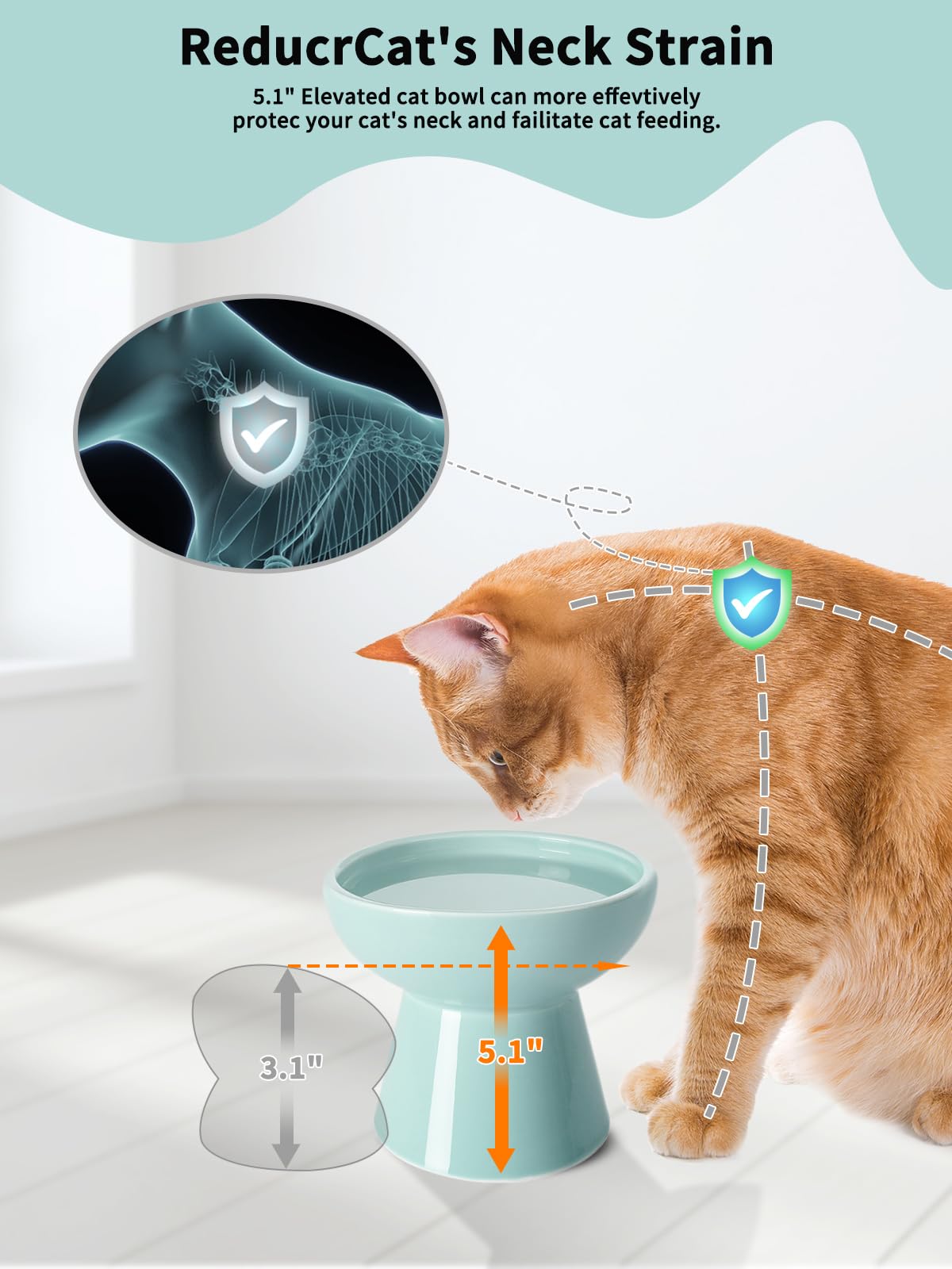 LoeJan ceramic elevated cat bowl blue close-up shows durable daily use