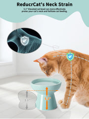 LoeJan ceramic elevated cat bowl blue close-up shows durable daily use