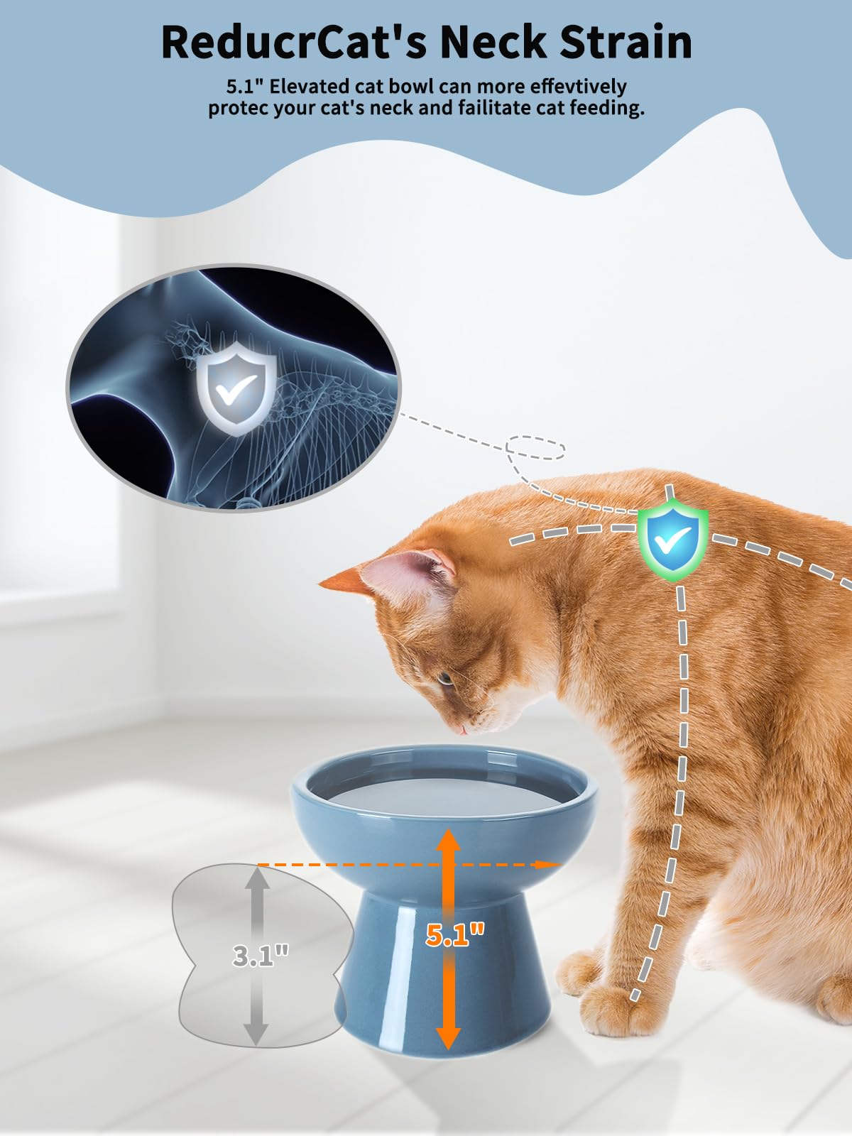 LoeJan whisker-friendly tray reduces whisker contact during meals.