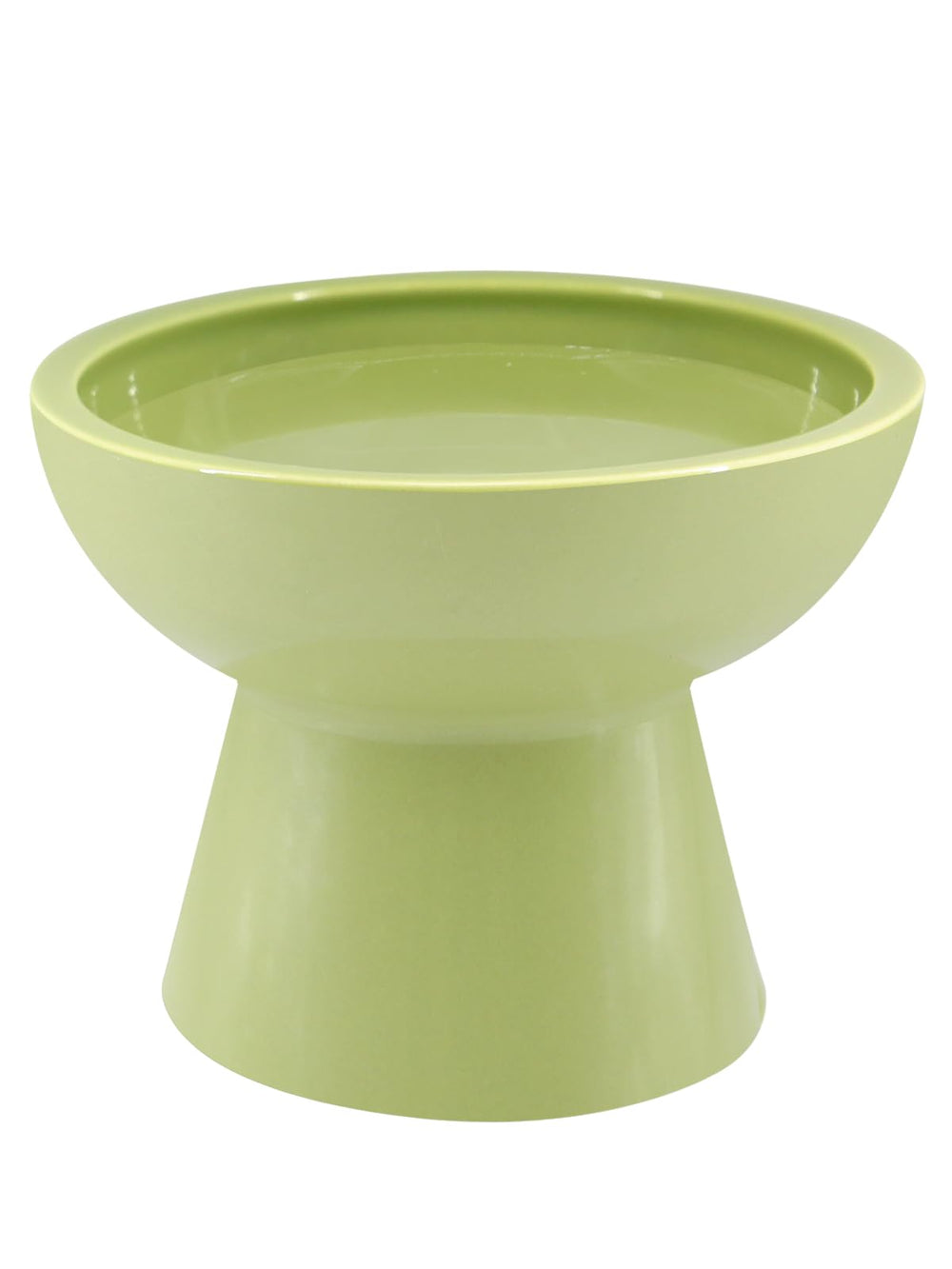LoeJan elevated green water bowl with 18oz capacity and splash control.