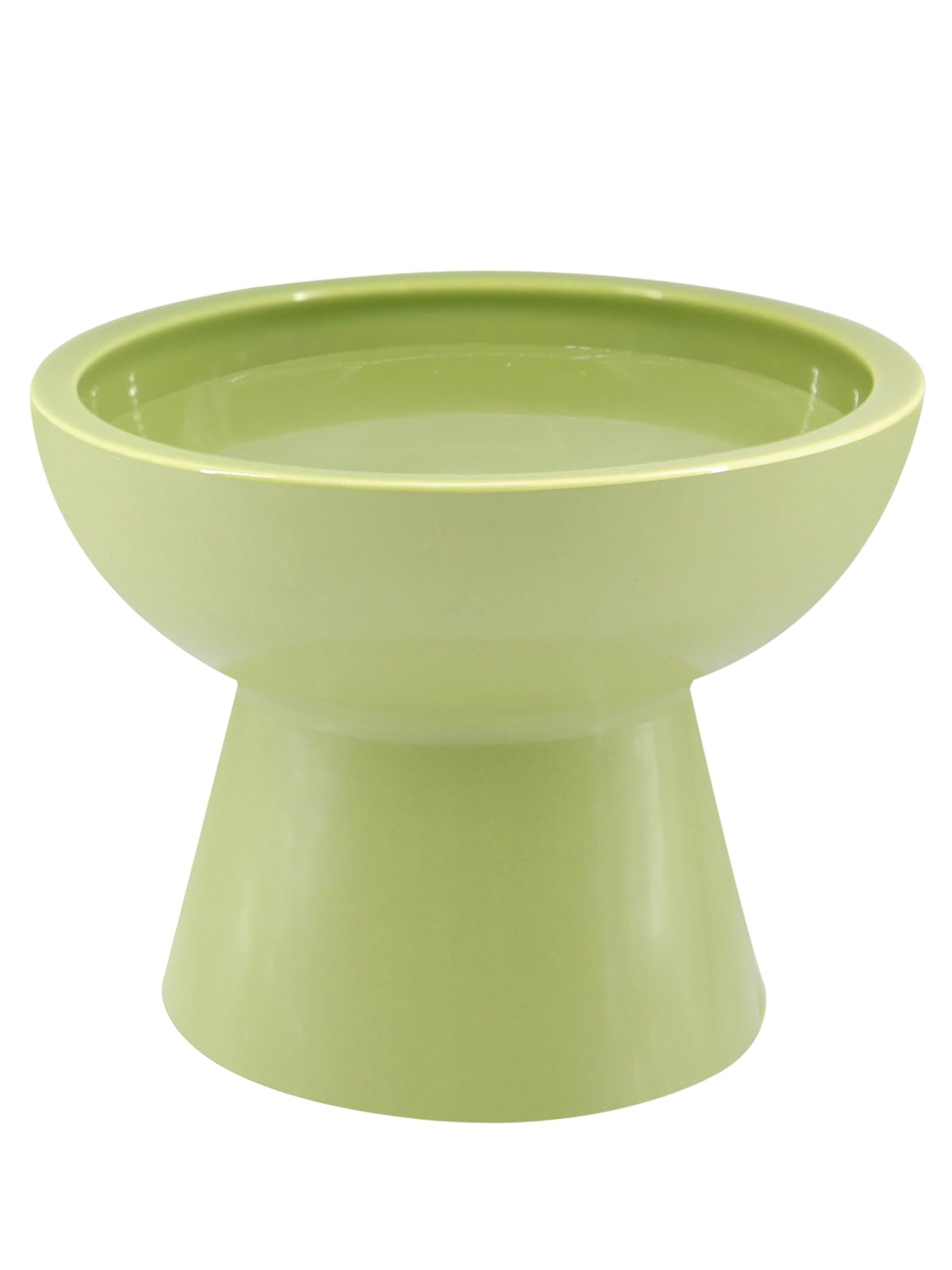 LoeJan elevated green water bowl with 18oz capacity and splash control.