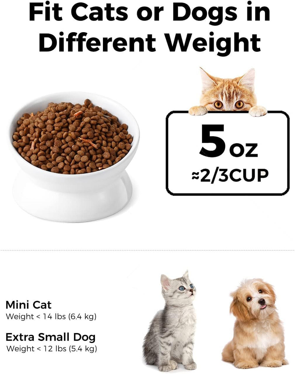 LoeJan elevated cat bowl tilt side view shows raised design for easy feeding.