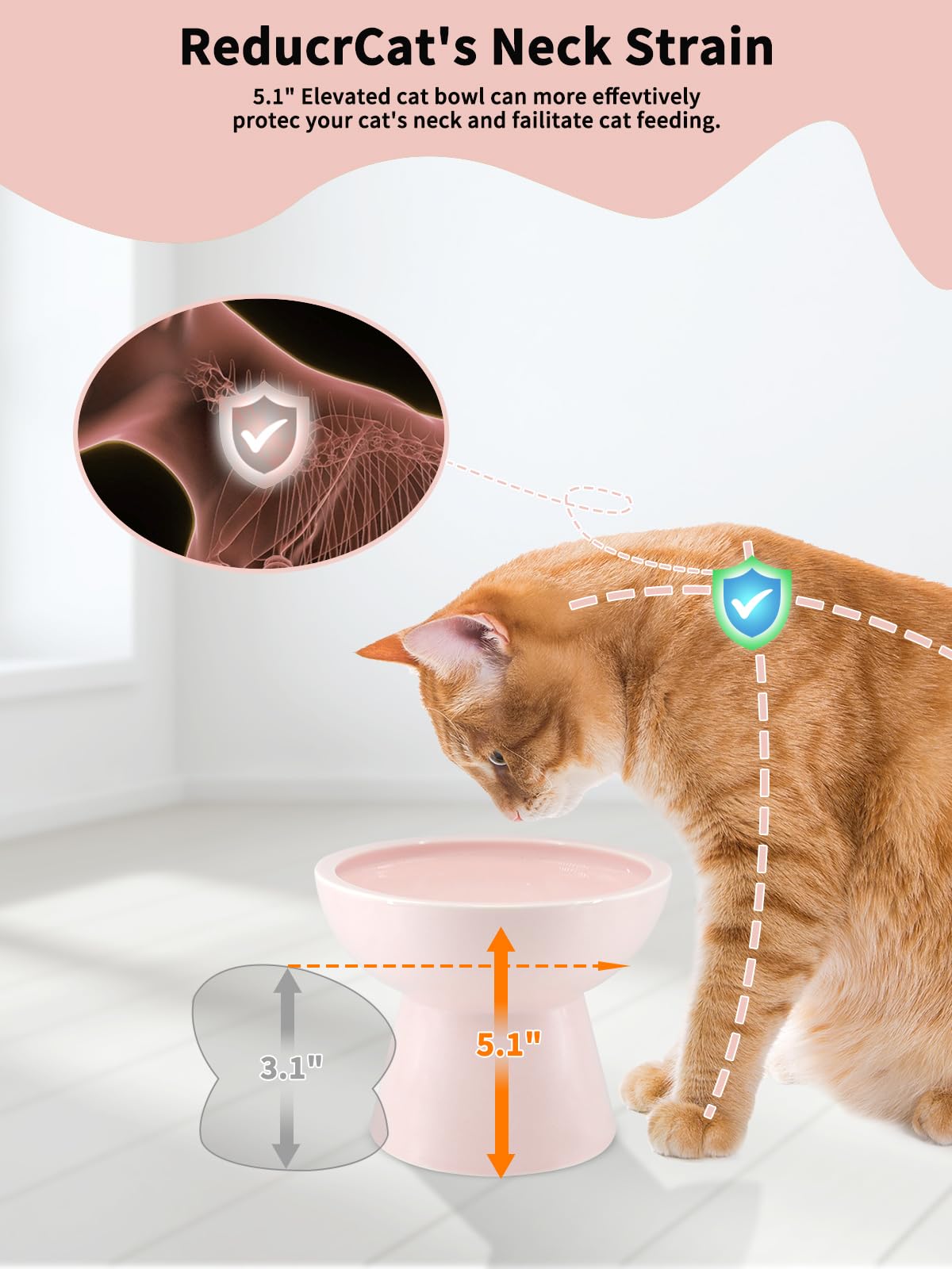 LoeJan whisker-friendly wide-tray prevents whisker fatigue during meals.