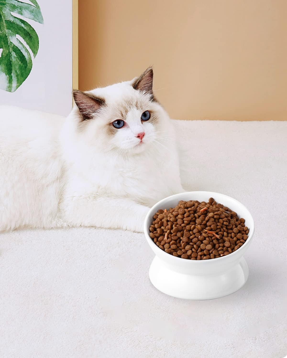 LoeJan four-pack of white bowls ideal for multi-pet households.