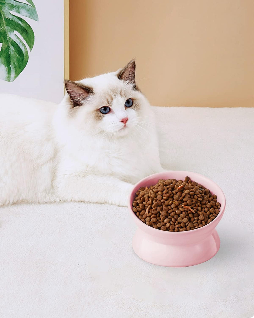 LoeJan pink 2-pack provides durable, pet-friendly feeding solution.