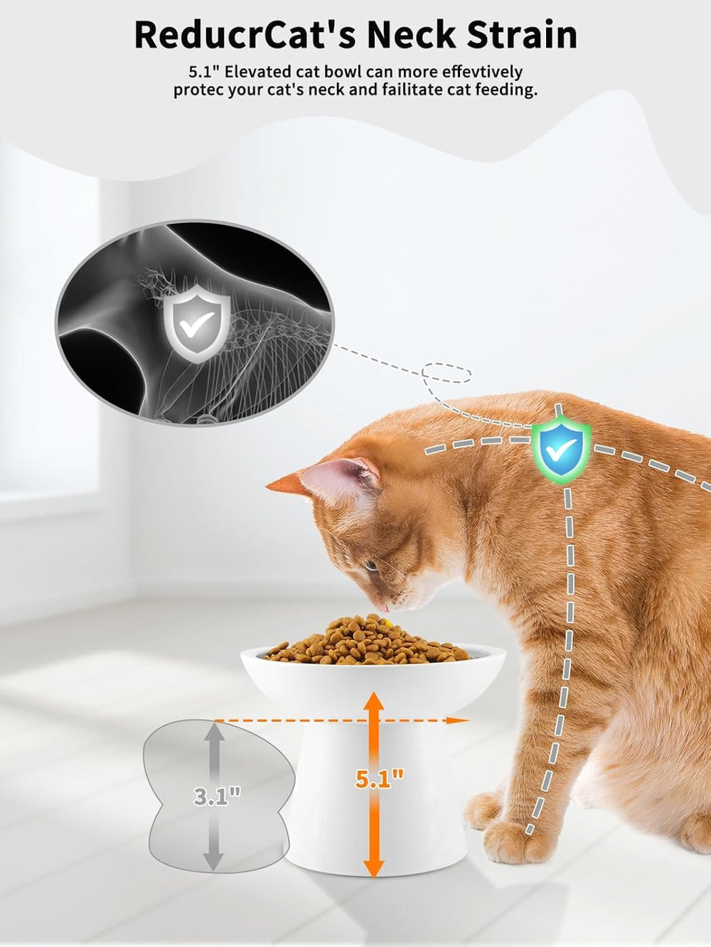 LoeJan 6-inch whisker-friendly tray reduces whisker fatigue during meals.
