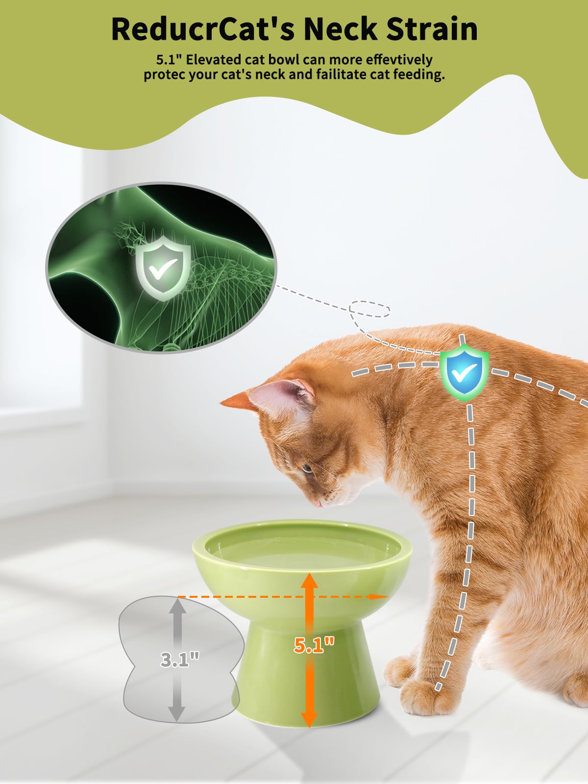 LoeJan whisker-friendly 6-inch tray minimizes contact and discomfort.