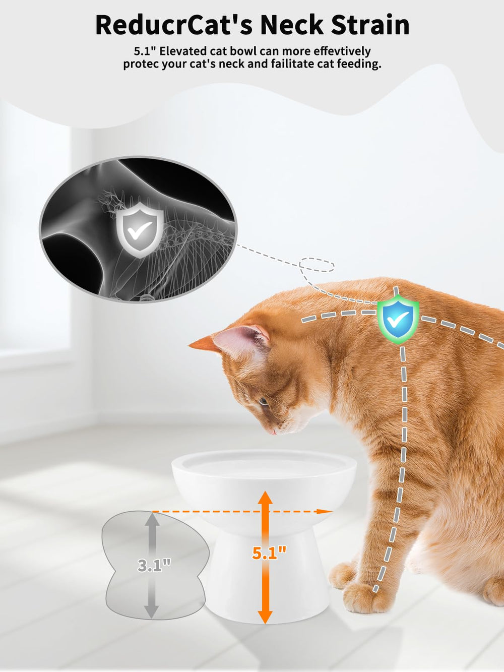 LoeJan whisker-friendly tray with wide 6 inch design reduces whisker fatigue during meals.