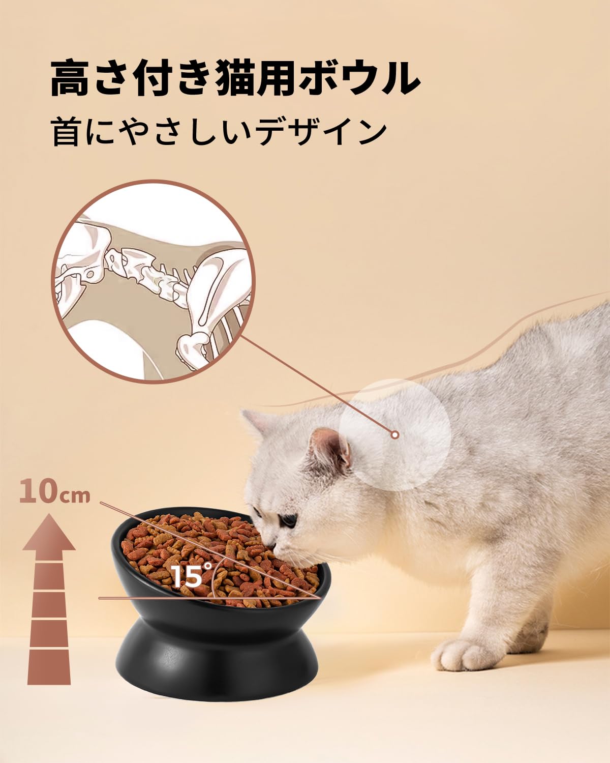 LoeJan wide shallow design prevents whisker contact during meals.