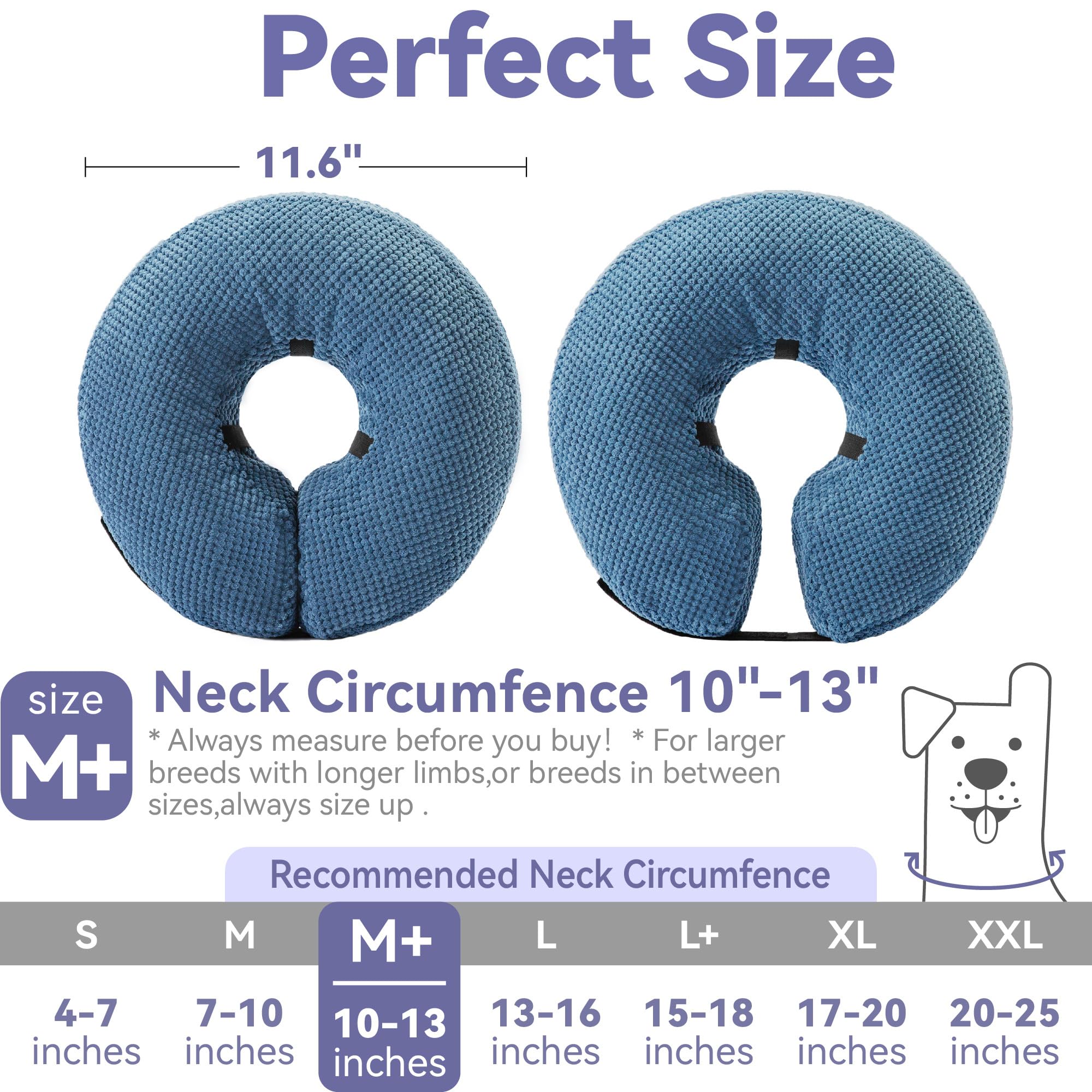 Loflaze blue cone on cat-friendly design for safe use.