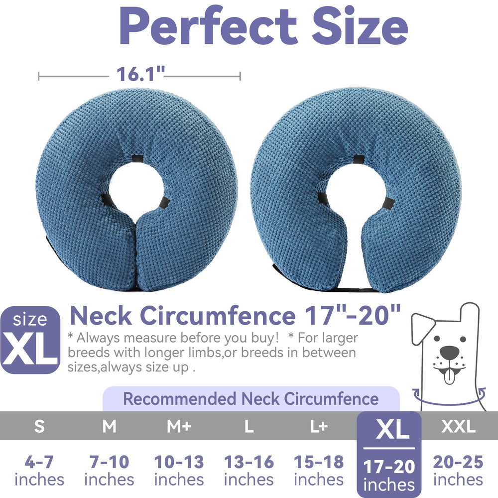 Loflaze inflatable collar enables mealtime and hydration with ease on blue collar.