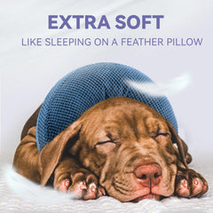 Loflaze Velcro strap on blue collar ensures snug, secure fit.