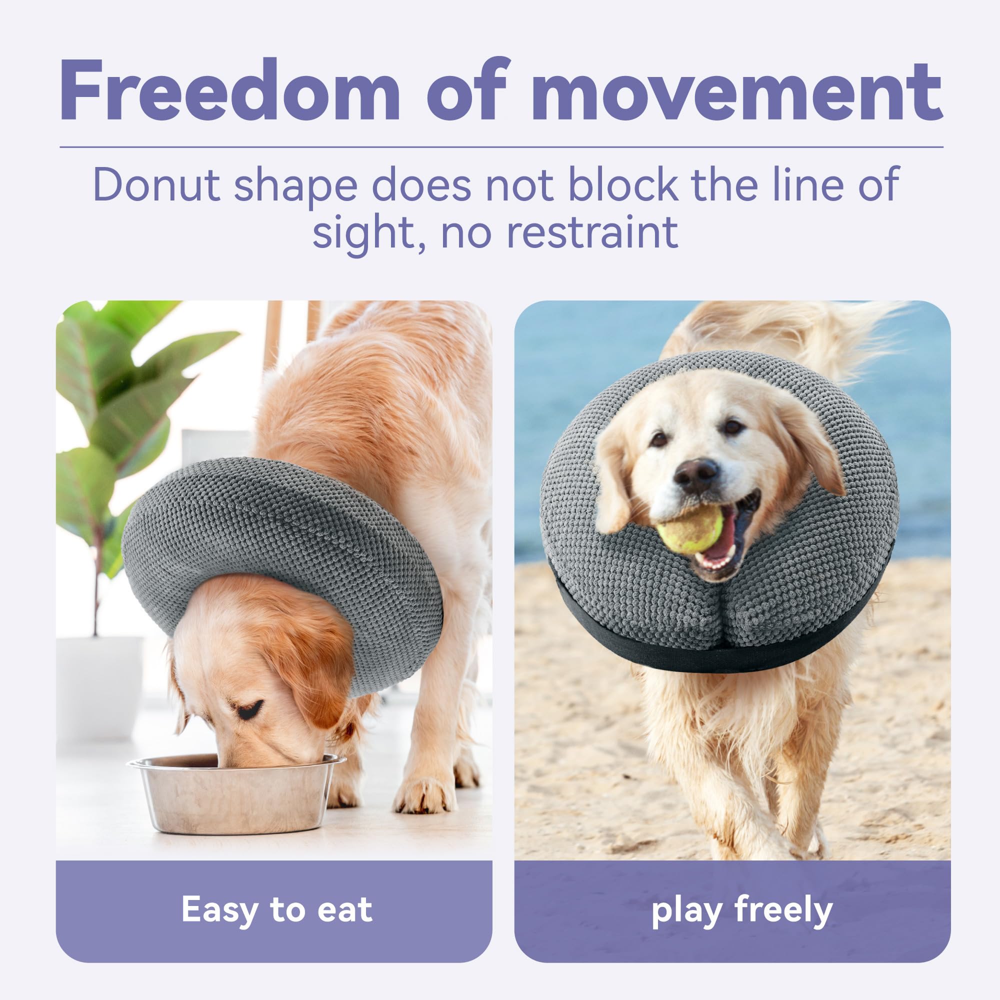 Loflaze inflatable cone worn on dog enabling movement and feeding