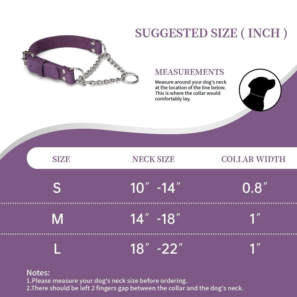 LOIIHEII purple martingale collar used for everyday walking and control.