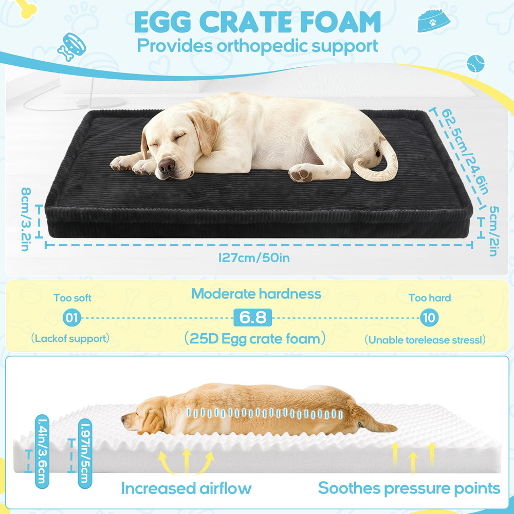 Loiion ultra-soft flannel fabric keeps dogs cozy during rides