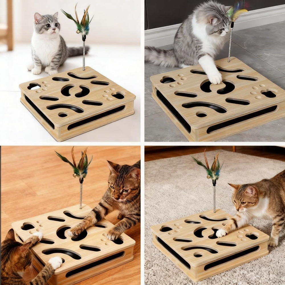 Loisdaro clawing box in use, guiding scratching to a dedicated outlet.