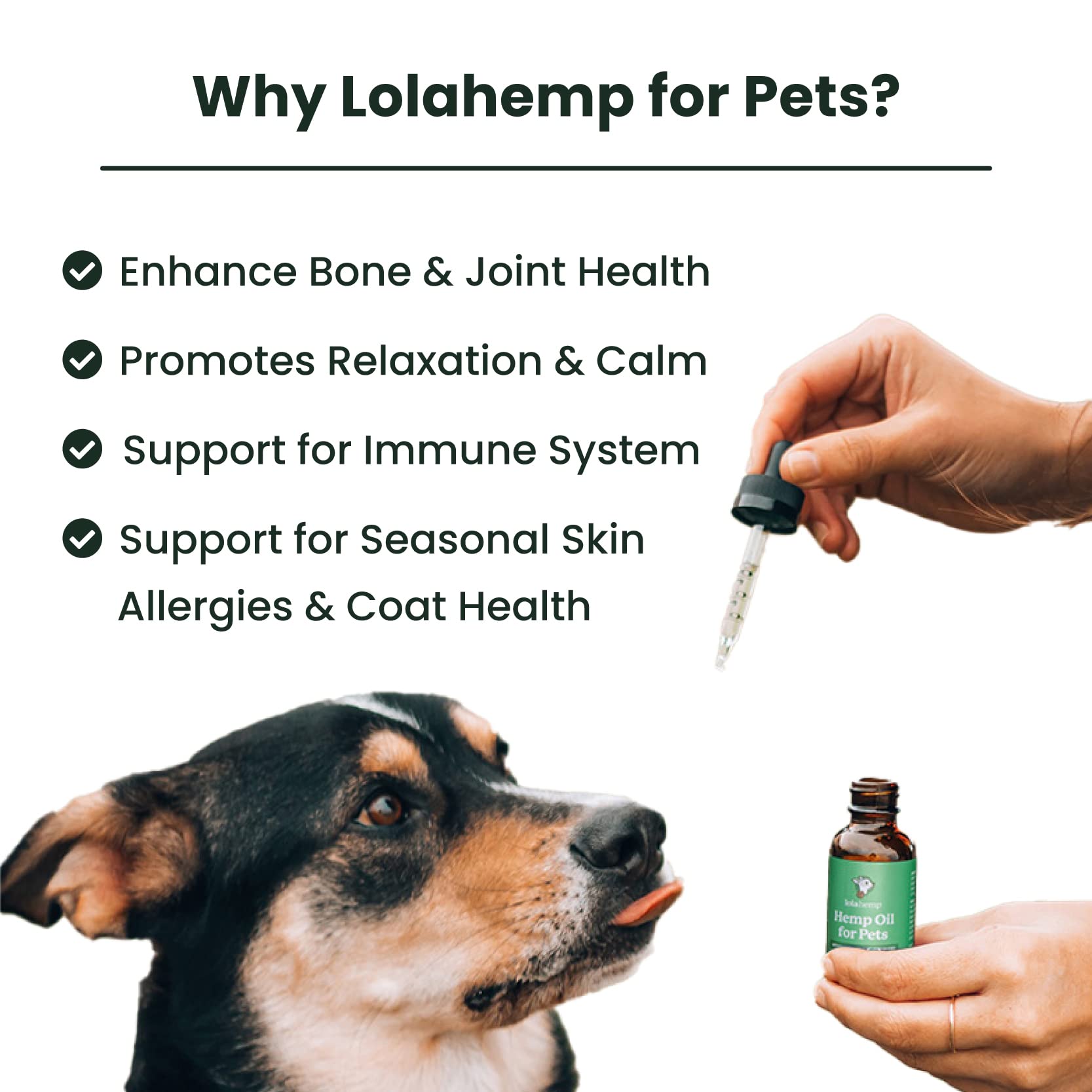 Lolahemp bottle close-up for cats highlighting calming support and comfort.