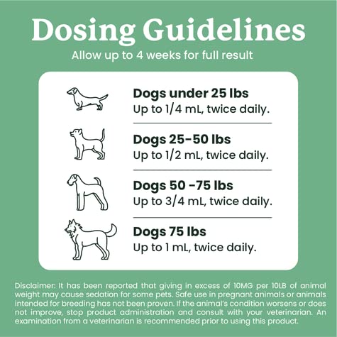 Lolahemp joint support image for aging pets promoting mobility.