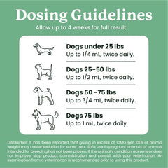 Lolahemp joint support image for aging pets promoting mobility.