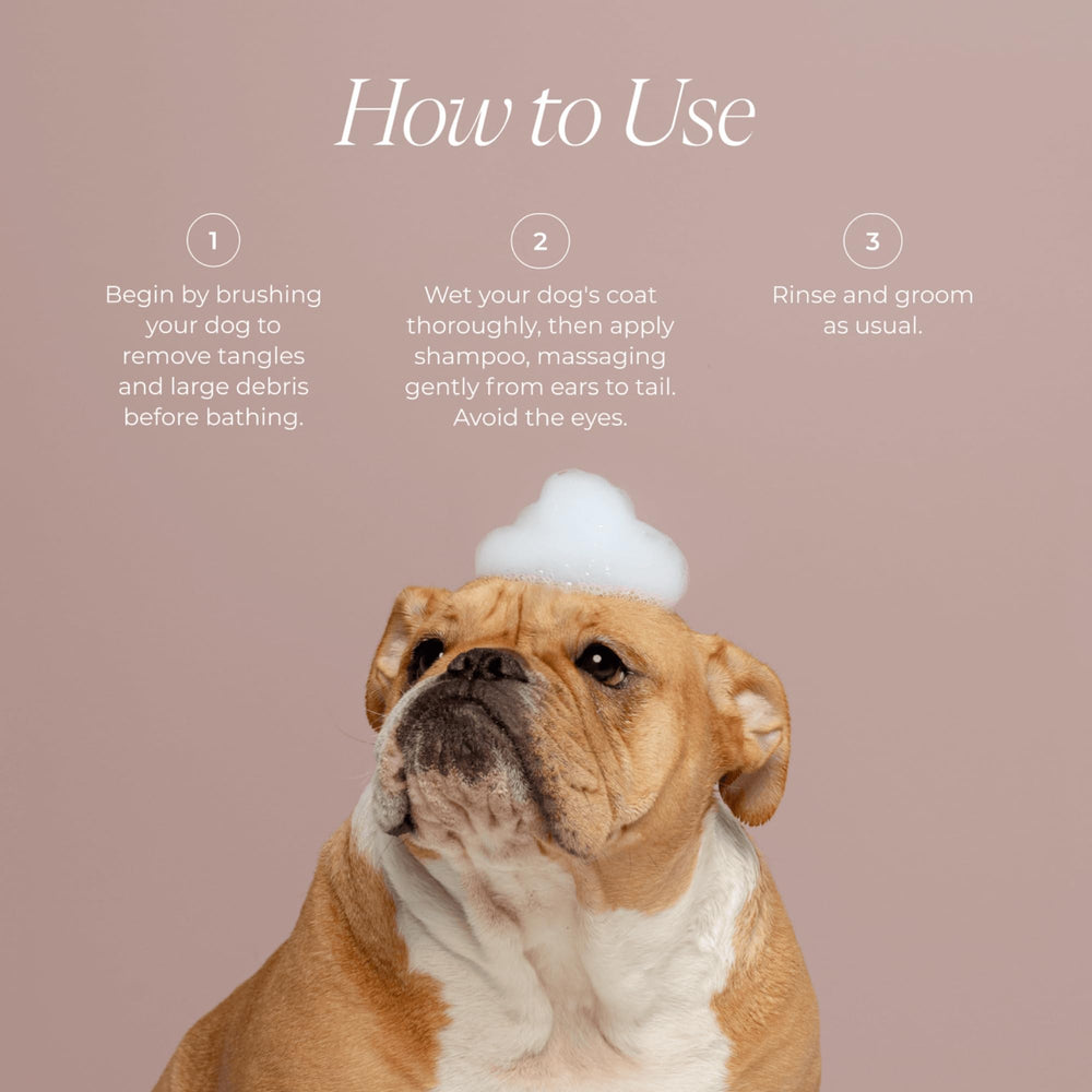 LolaVie Puppy Love Shampoo label featuring fragrance and product details.