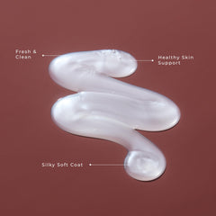 LolaVie Puppy Love Shampoo packaging on shelf highlighting vegan, cruelty-free formula.