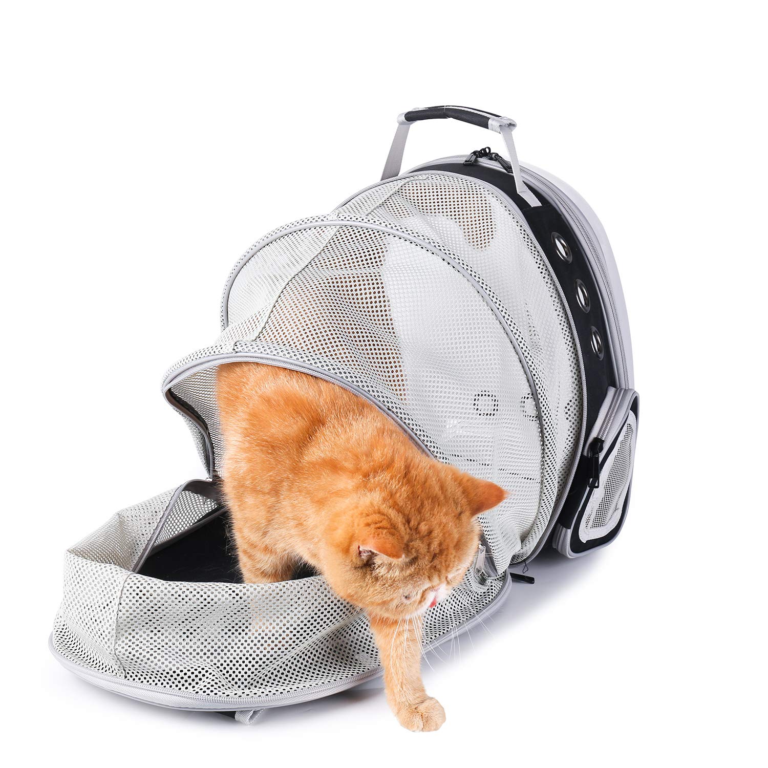 LOLLIMEOW quick-access pocket for treats and essentials during trips