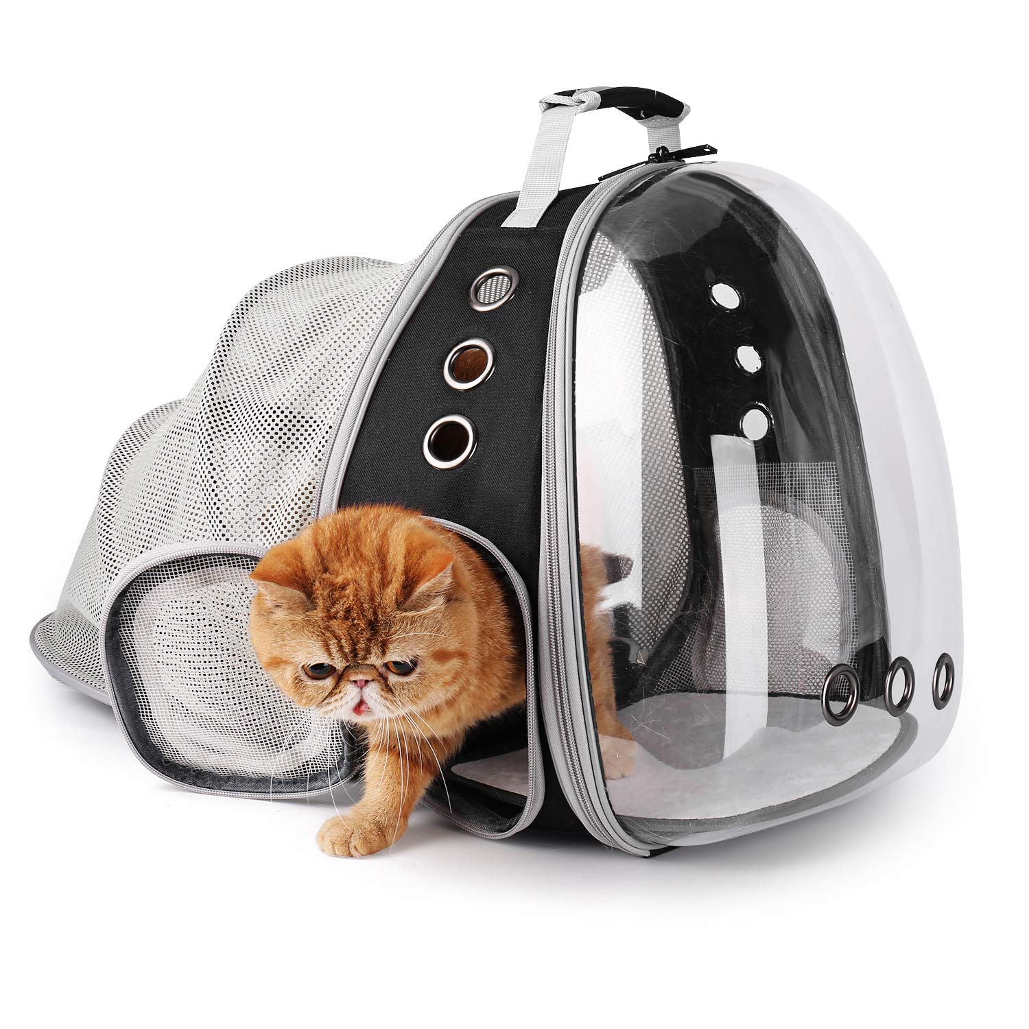 LOLLIMEOW all-season comfort with plush blanket for cozy journeys