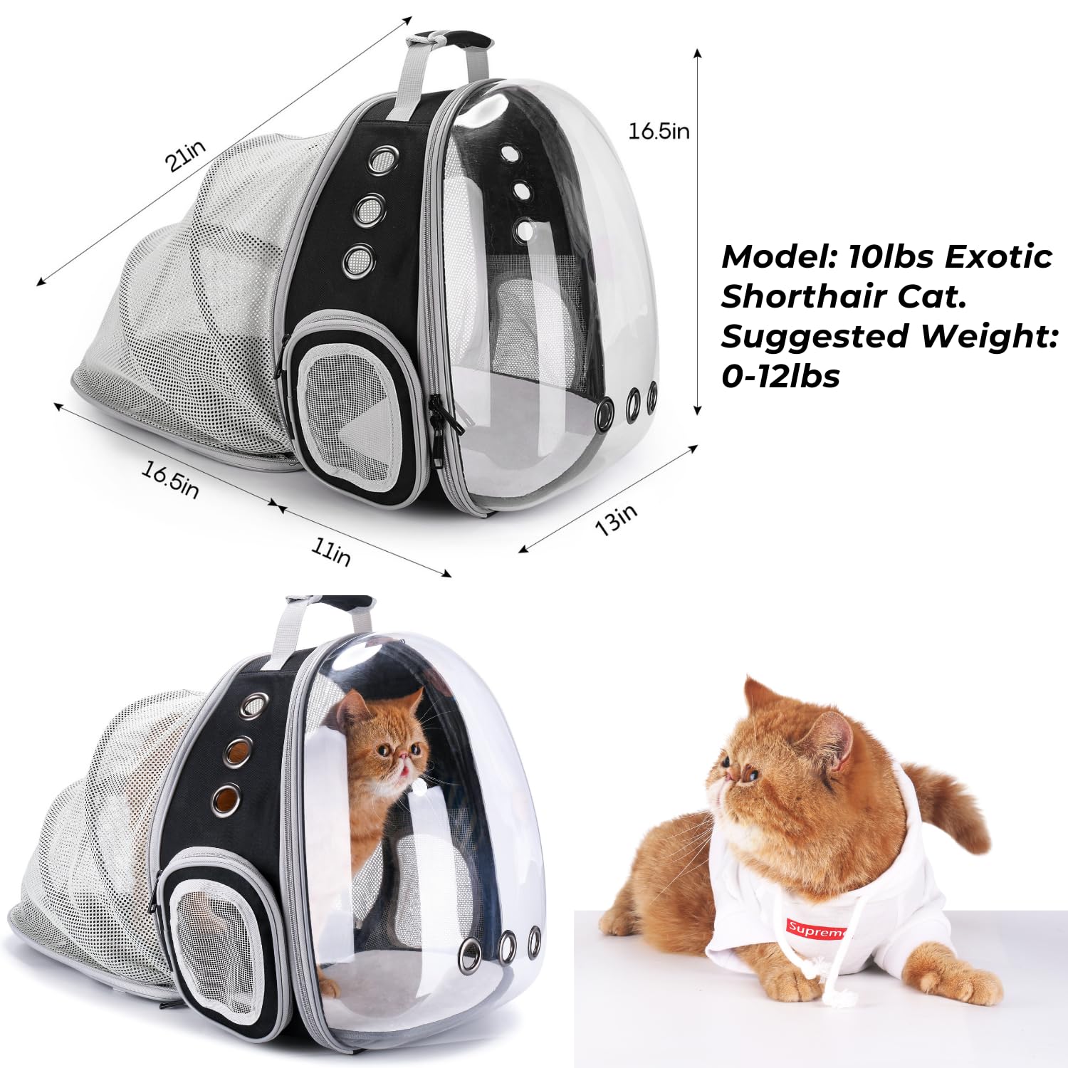 LOLLIMEOW expandable design provides extra space for comfort on hikes