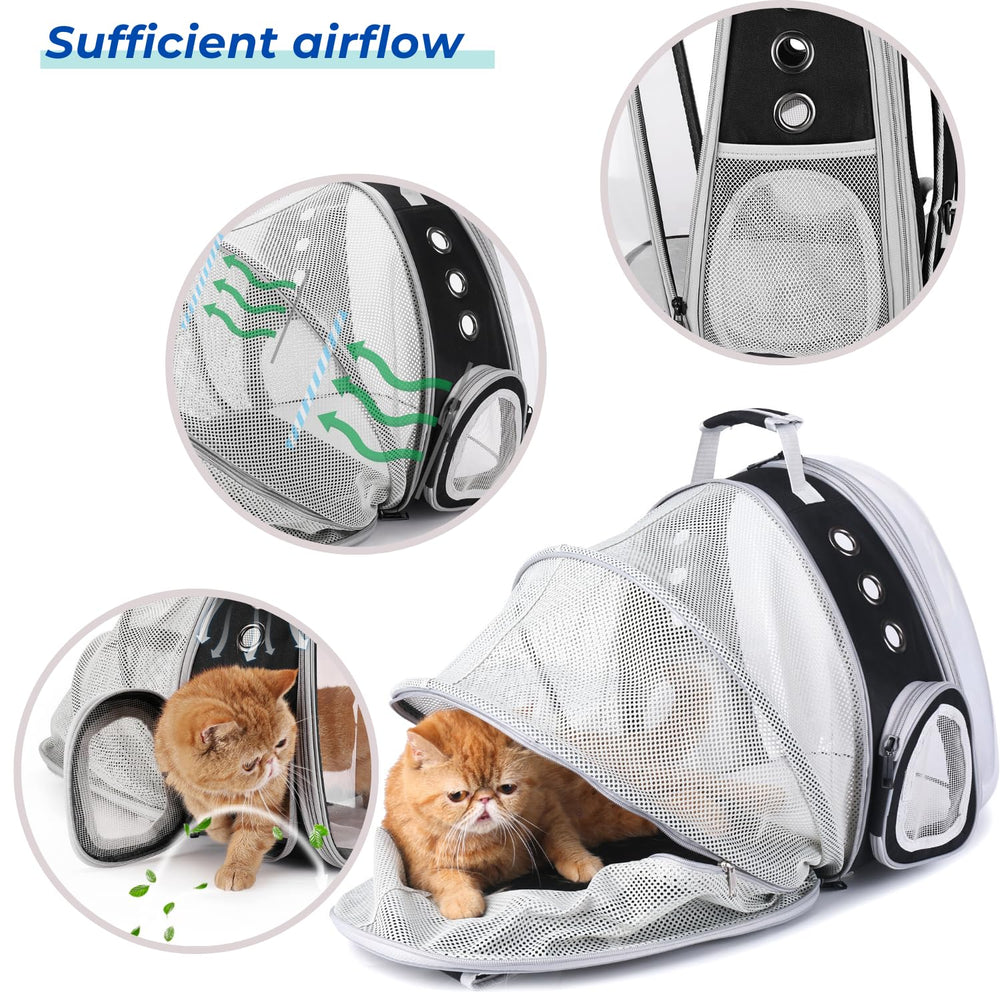 LOLLIMEOW spacious interior supports relaxed resting for small pets