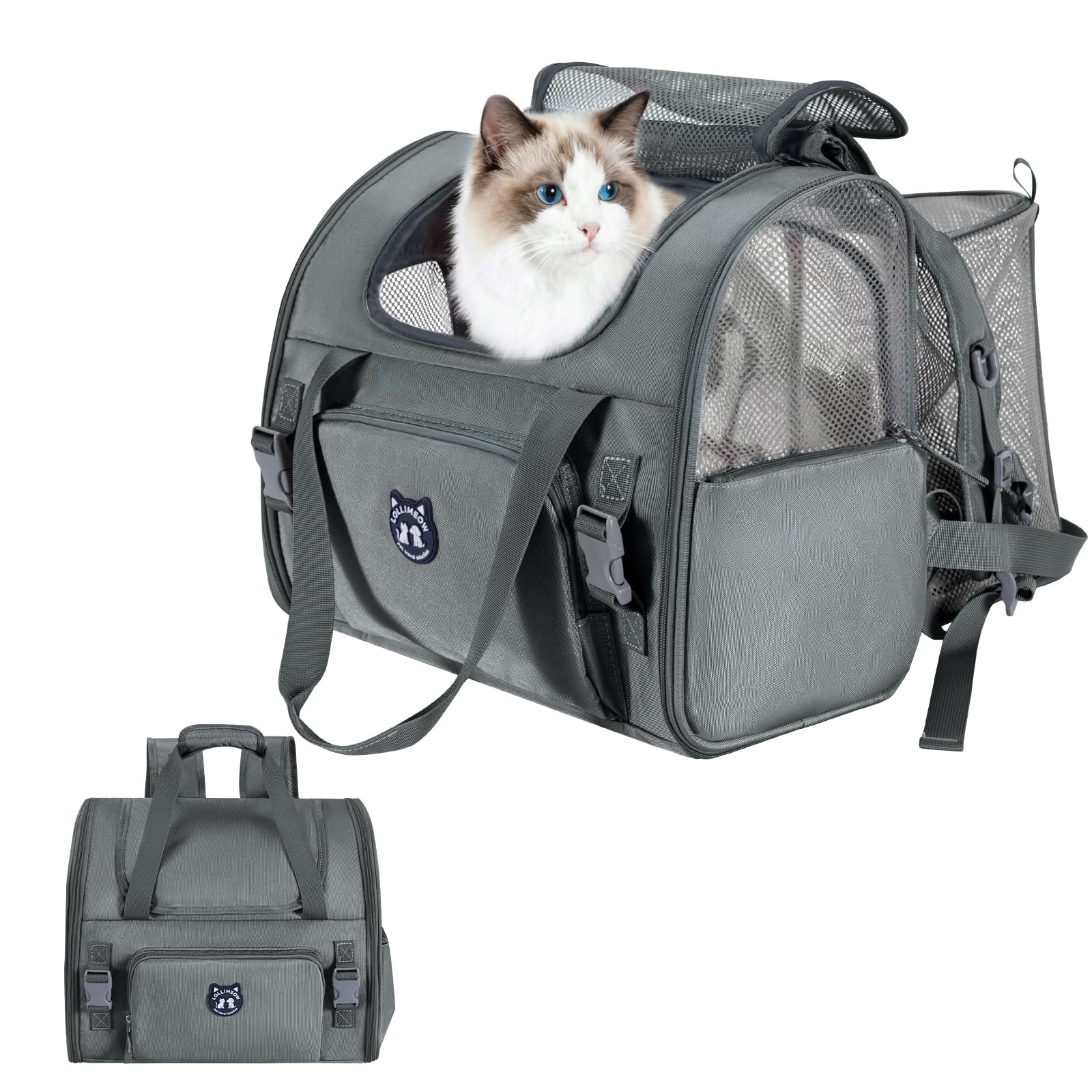 Lollimeow expandable cat carrier backpack in standard size showing interior space