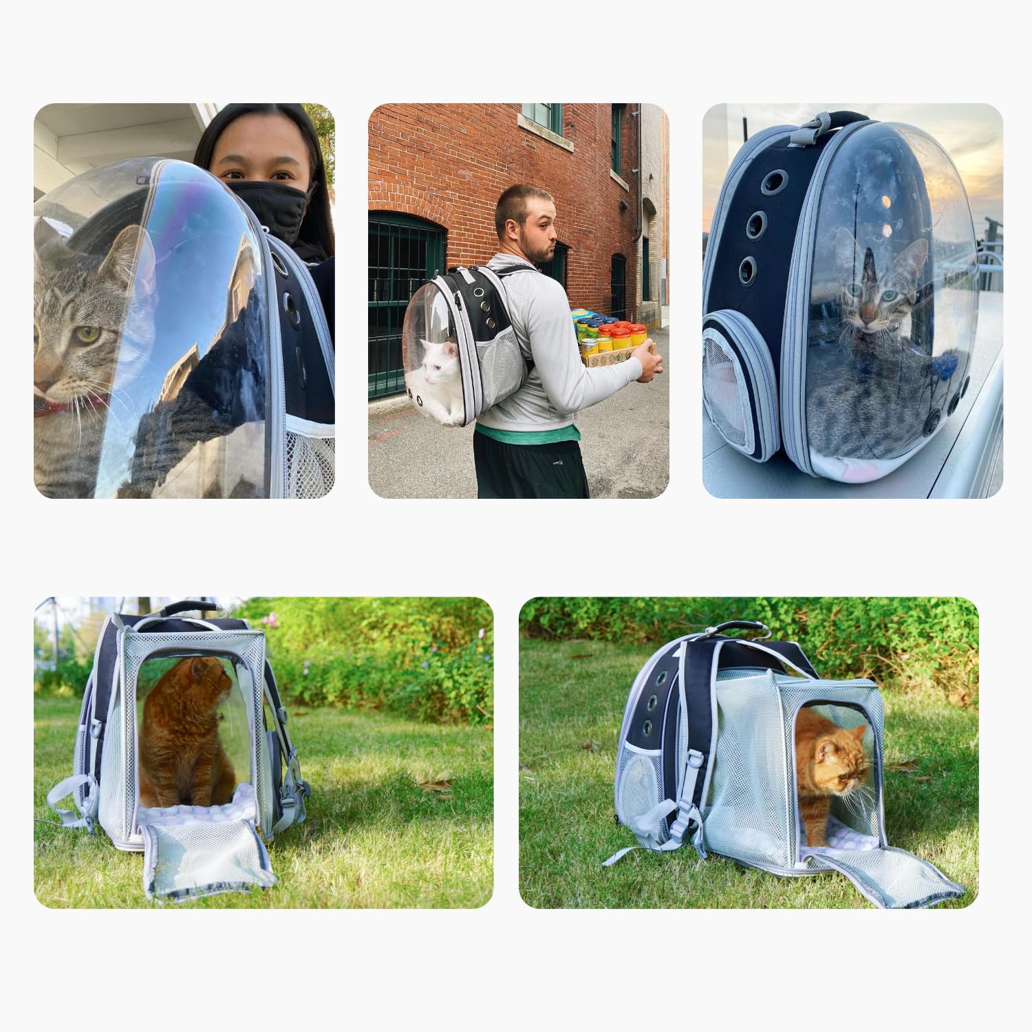 LOLLIMEOW hard shell top provides added protection during transport